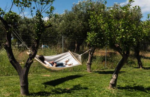 Dimitras Home - Foto 6