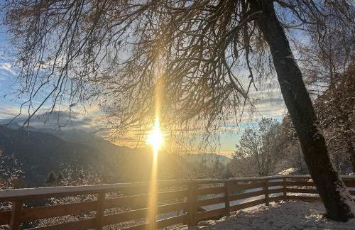 Maso Walter - Foto 20