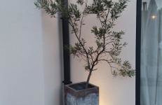 Villa contemporaine - Foto 13