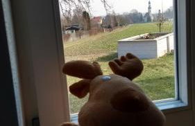 Ferienwohnungen Mühlenhof Oberseifersdorf - Foto 19