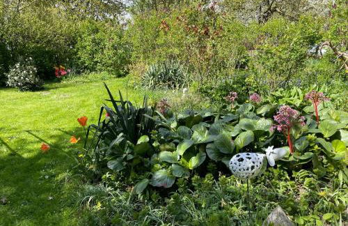 Krusenhagen Apartment With Garden - Foto 68