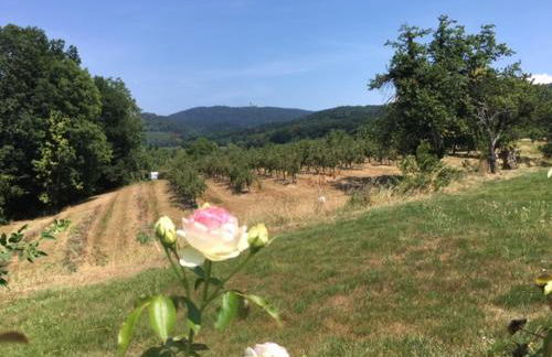 Ruheoase im Kirschblütental - Foto 18