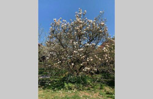 Vintage Apartment WOLF im Wadrilltal - Balkon Garten - Foto 2