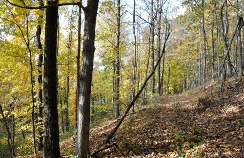 Beautifully Furnished Barn Getaway Located on a Sustainable Living Farm near Metropolis, Illinois - Photo 21