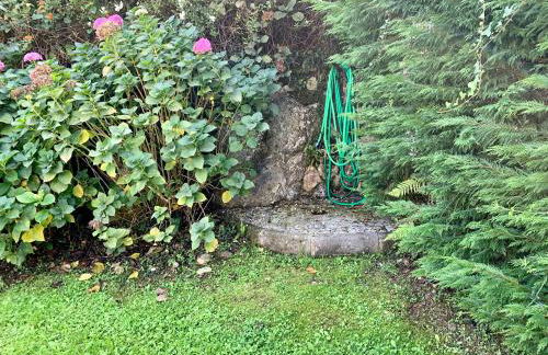 Chalet El Ñeru - Foto 8