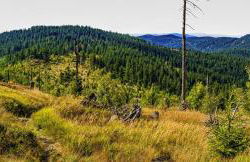 Ferienwohnung am Seebach´l - Foto 13