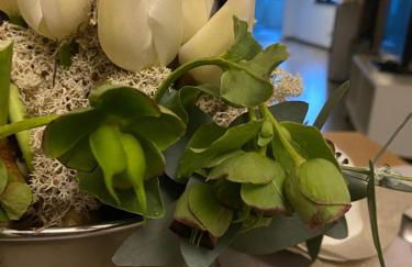 L'Albero della Vita - Foto 35