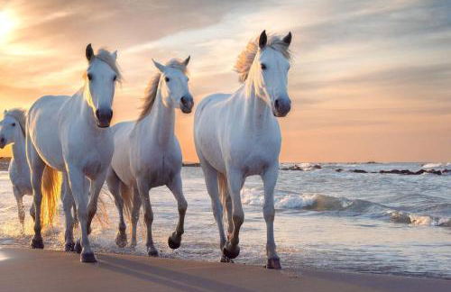 LA MAISON FAYARD - 3 pers - Centre Clim Wifi Cosy Garage - Foto 30