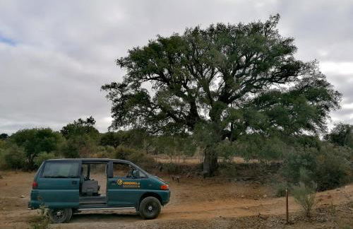 Casa CÔA - Casas de Villar - Rural Experience - Foto 38