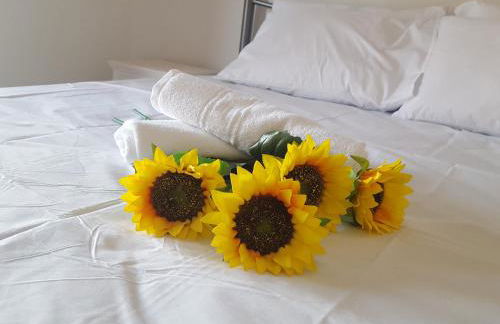 Tom's House - Photo 36