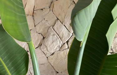 CasadiCampo - Foto 67