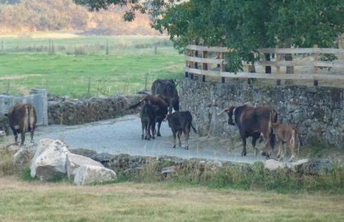 Refugio das Terras Altas - Foto 28