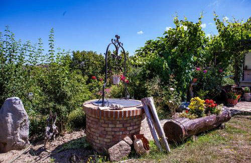 Casa sull'albero Bocchineri - Photo 31