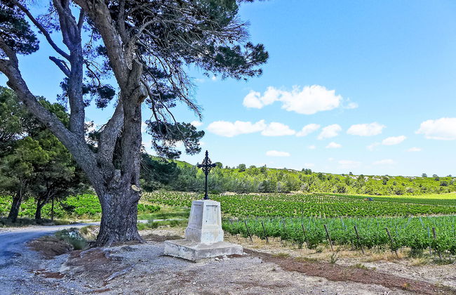 Les Vendanges - Foto 25