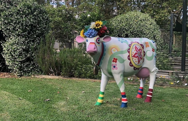 Mansfield on the Manning - Photo 30