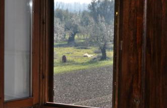 Agriturismo La Colombaia - Foto 17