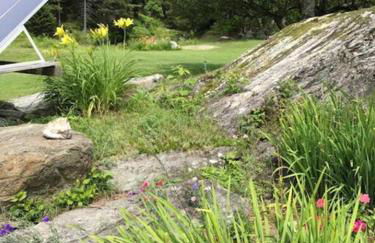 The Hunter Cabin at Sky Hollow - Foto 42