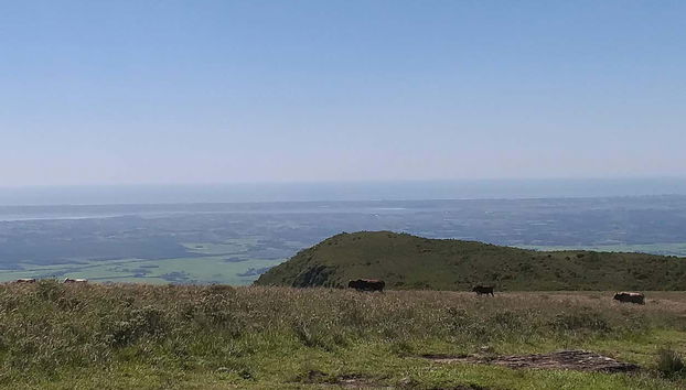 Look out over the green landscape