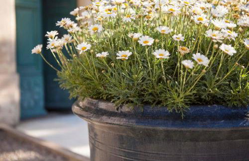 Château de la Motte - Entre Narbonne et le Canal du Midi - Foto 15