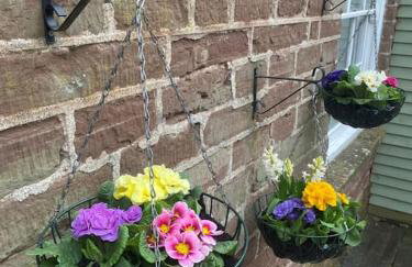 Carefree Cottage - Foto 6