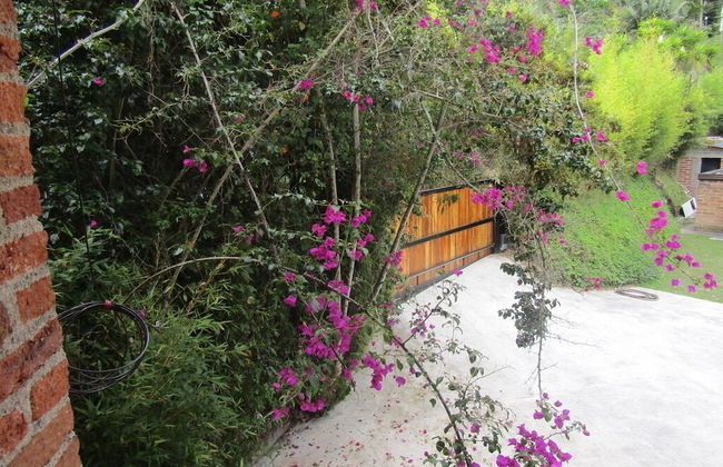 River Front Cabains - Foto 52