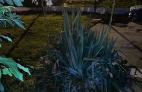 Gîte en Baie de Somme - Foto 14