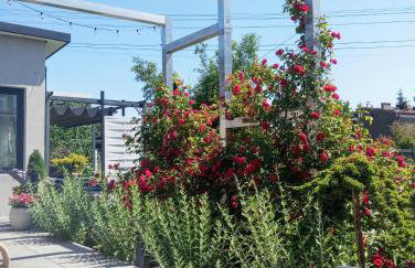 Noclegi, pokoje, kwatery "Nad Bzurą" - Foto 9