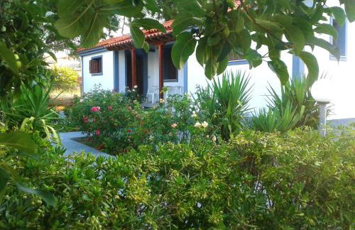 Vicky Studios and Apartments - Foto 4