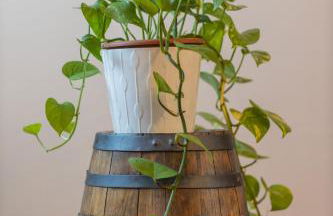 A casa di Luna - Foto 10