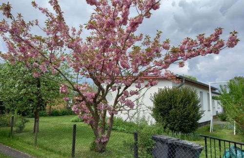 Ferienhaus Loissin - Foto 4
