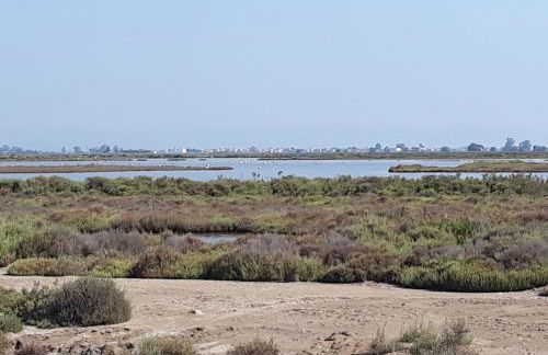 L´apartament de la Iaia - Foto 16