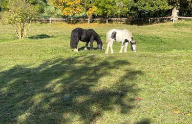 Großes Familienapartment mitten in der Natur - Foto 18