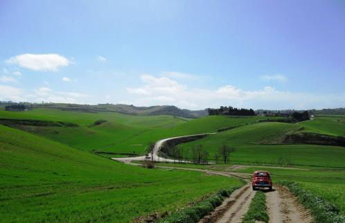 Patanella Wine - Foto 19