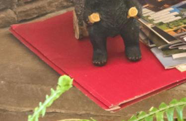 Solar powered log cabin with mountain views, 3acres - Foto 22