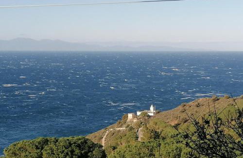 L' Elicriso - Photo 14