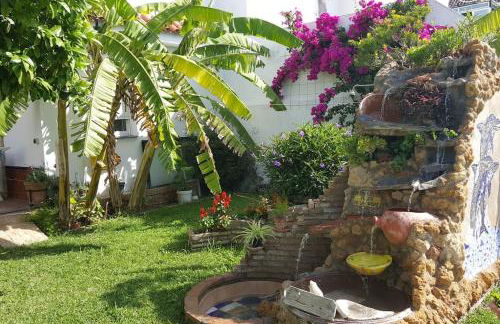 Sevilla a tus pies - Foto 23