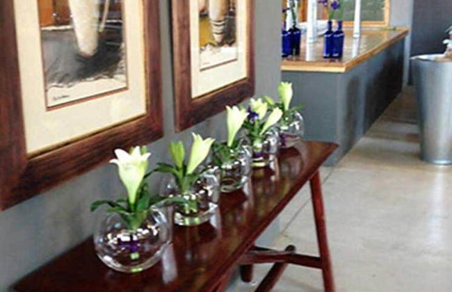 Verlorenkloof Estate - Foto 15