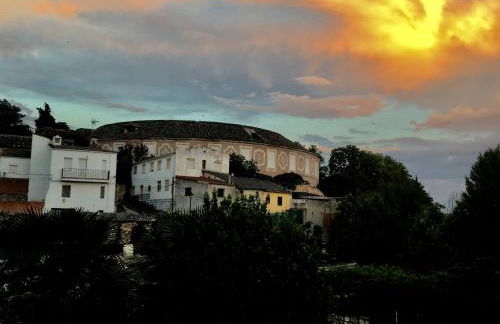 Apartamentos Rurales Flor De Lavanda - Foto 32