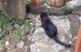 Cantinho da Inês Alojamento Local - Foto 27