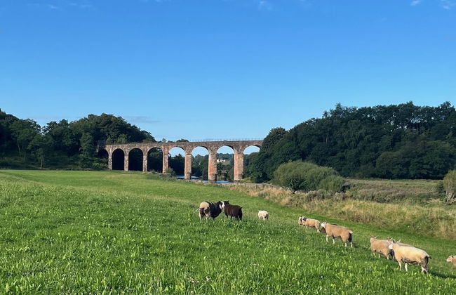 Cosy 2-bed Cottage With Garden Near Carlisle - Foto 9