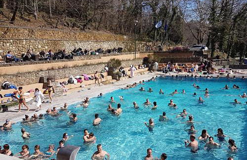 "The plane trees" - Foto 64