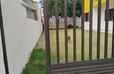 Casa em frente à Praia dos Padres - Foto 33