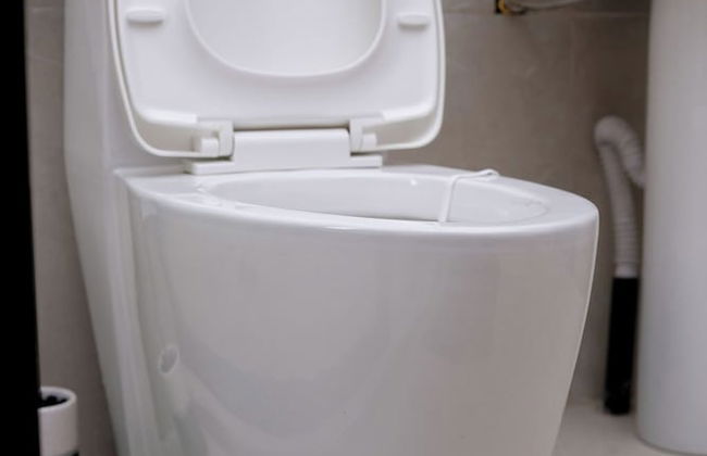 Les Jardins de René Villa - Foto 74