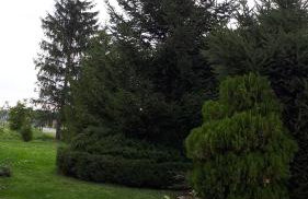 Agroturystyka "JAGAP" OAZA SPOKOJU - Foto 38