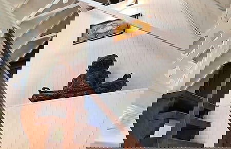 Green Villa Moorea - Photo 15