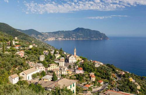 Sea South front property1/2acre.Gardens pool hydro - Foto 27