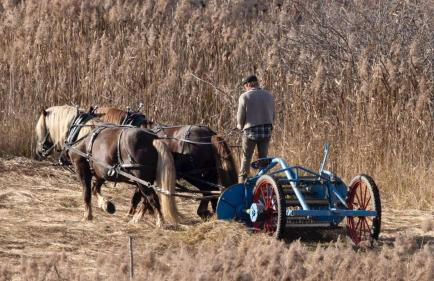Ferienwohnungen Schwarzer in Seehausen am Staffelsee - Foto 21