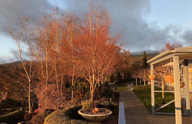 Mole Creek Hideaway - Photo 36