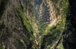 Apartament Nad Tatrzańską Pasieką - Foto 40