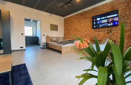 Apartamenty Gliwice Staromiejska 65 - Foto 22